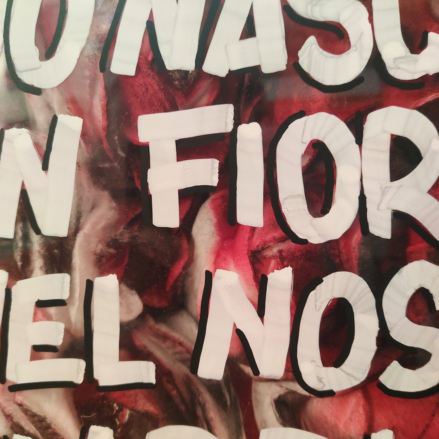 PUÒ NASCERE UN FIORE