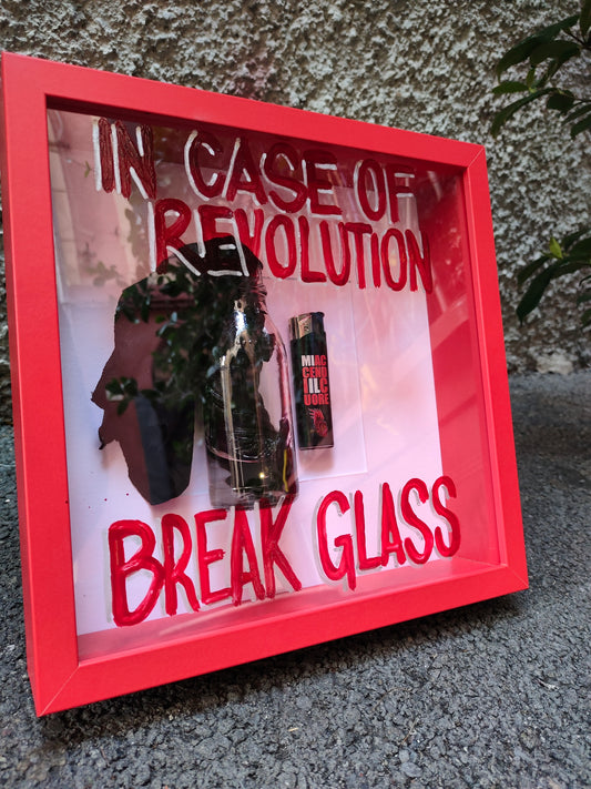 IN CASE OF REVOLUTION